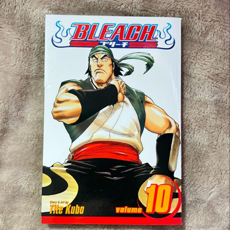 Bleach, Vol. 10