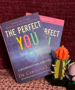 The Perfect You *Bundle* with Workbook