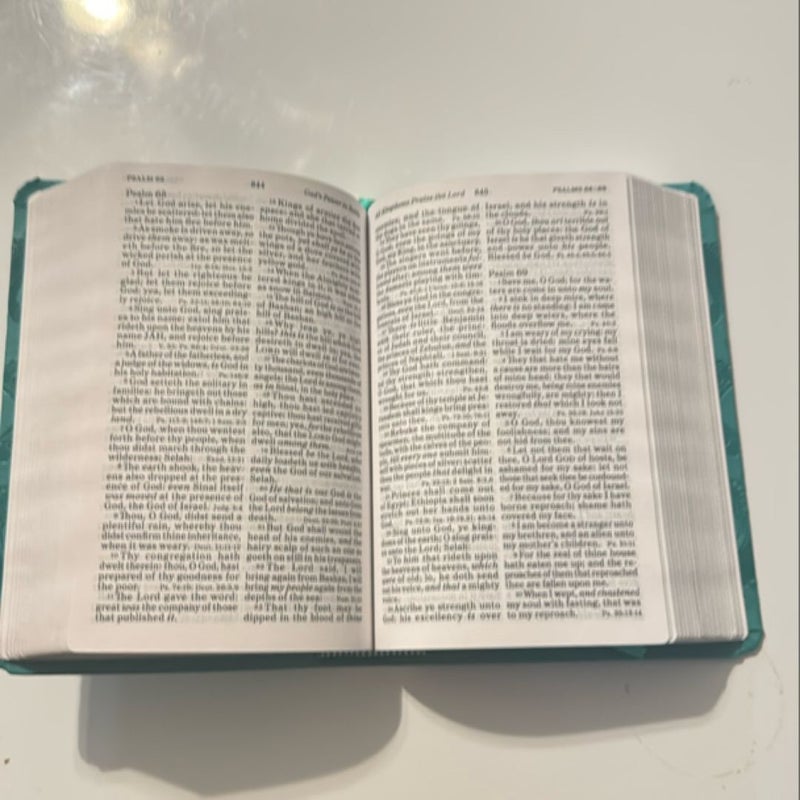 KJV Large Print Compact Reference Bible, Teal LeatherTouch