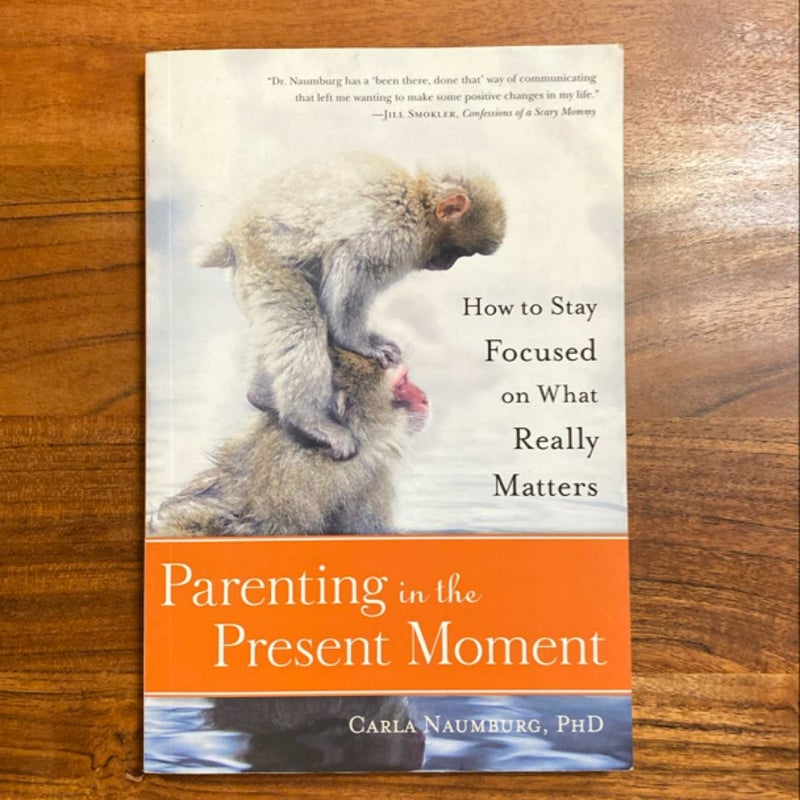 Parenting in the Present Moment