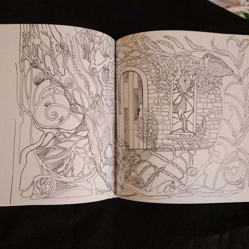 Tangle Wood Colouring Book - O/P