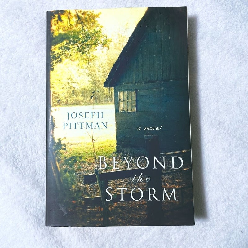 Beyond the Storm