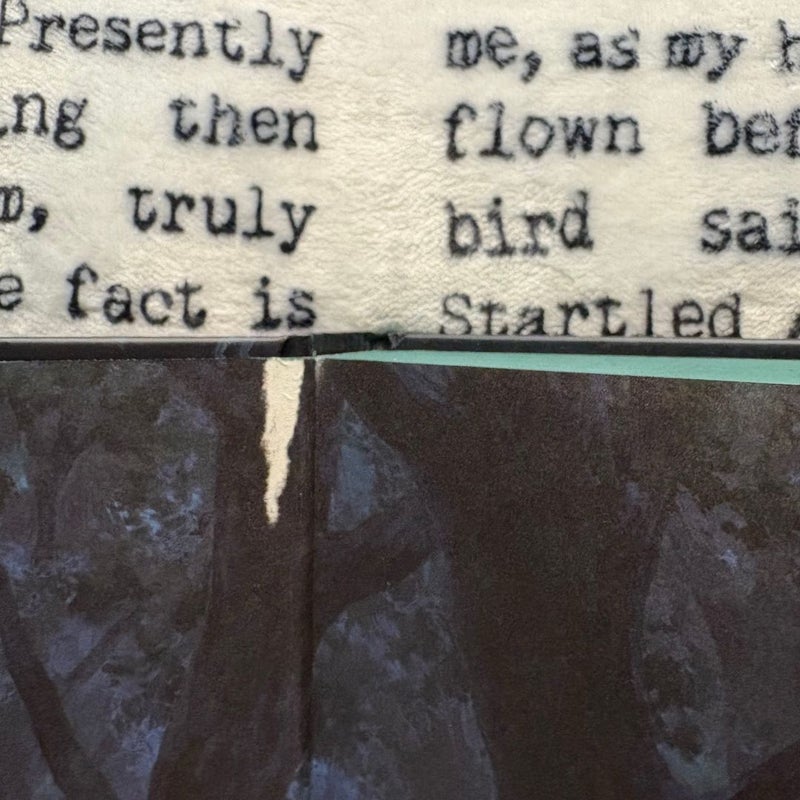 One Dark Window: Fairyloot Edition (slight end paper damage, see all photos)