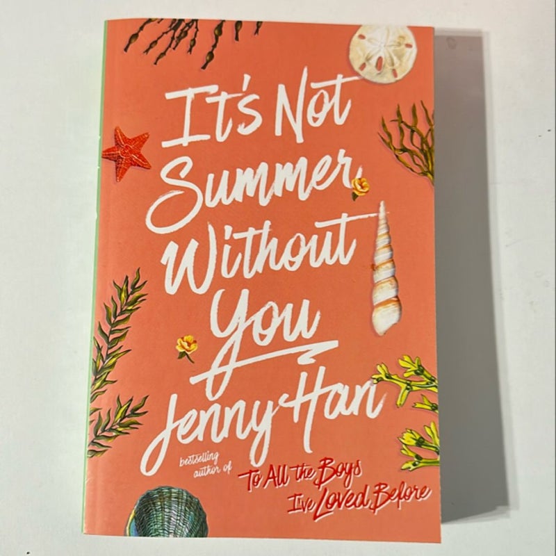 It's Not Summer Without You