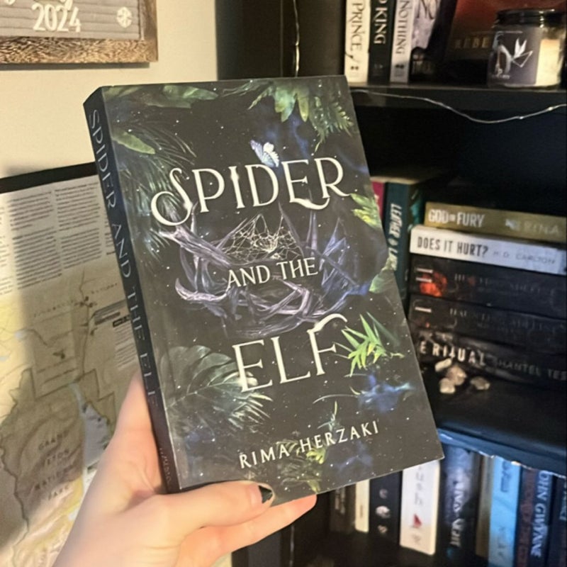 Spider and the Elf