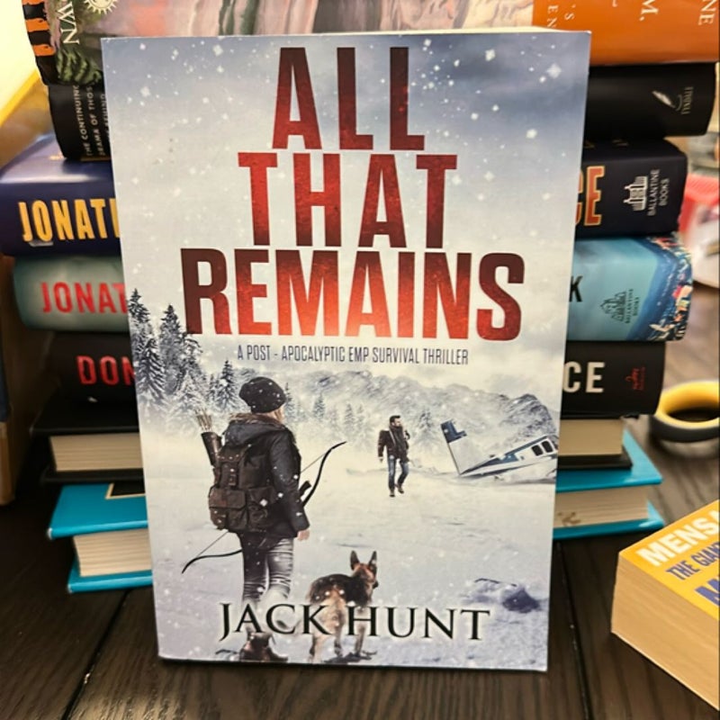 All That Remains: a Post-Apocalyptic EMP Survival Thriller