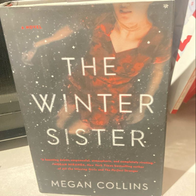 The Winter Sister