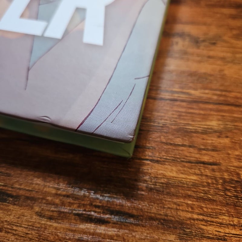 After: the Graphic Novel (Volume One)