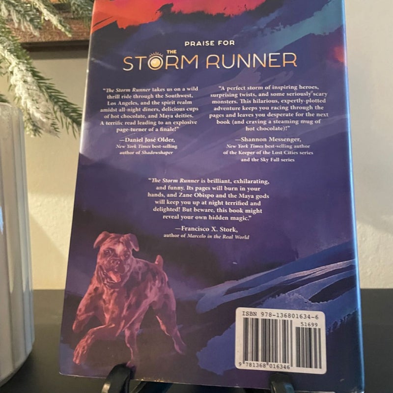 The Storm Runner (a Storm Runner Novel, Book 1)