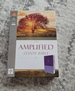 Amplified Study Bible [Purple]