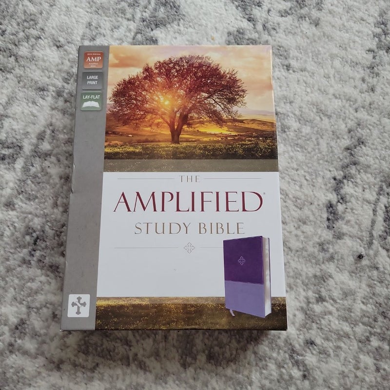 Amplified Study Bible [Purple]