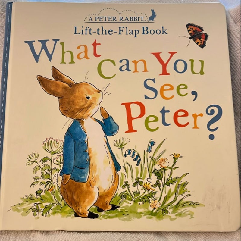 What Can You See, Peter?