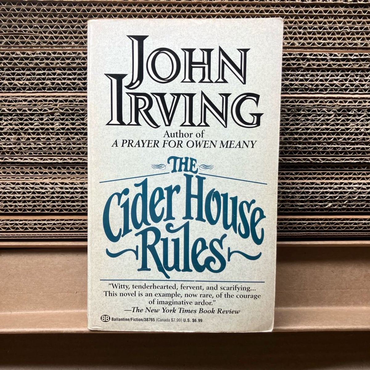 The Cider House Rules by John Irving, Paperback | Pangobooks