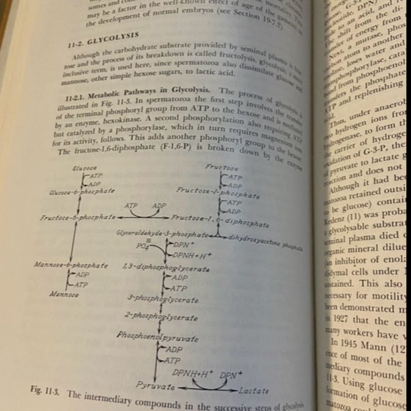 Physiology of reproduction and artificial insemination of cattle