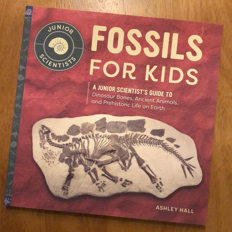Fossils for Kids