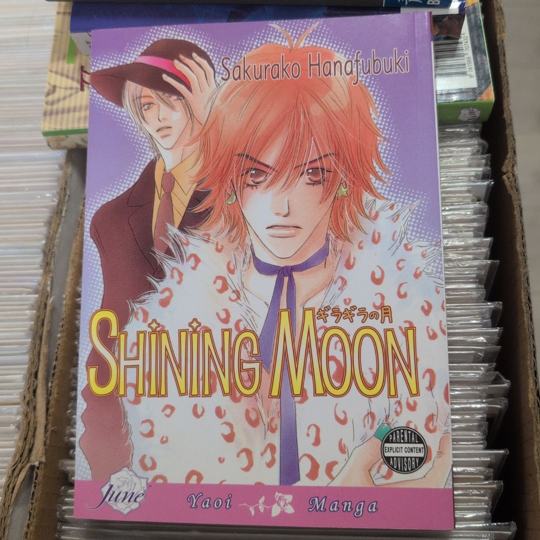 Junior Escort Volume 4: Shining Moon (Yaoi)