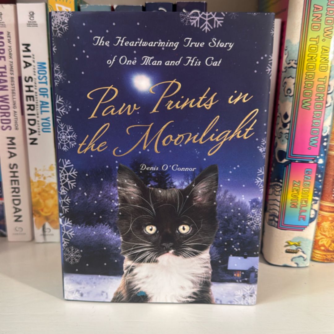 Paw Prints in the Moonlight