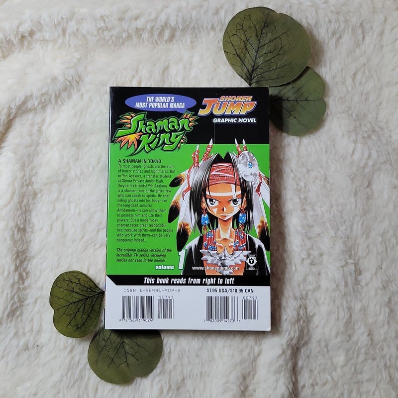 Shaman King, Vol. 1