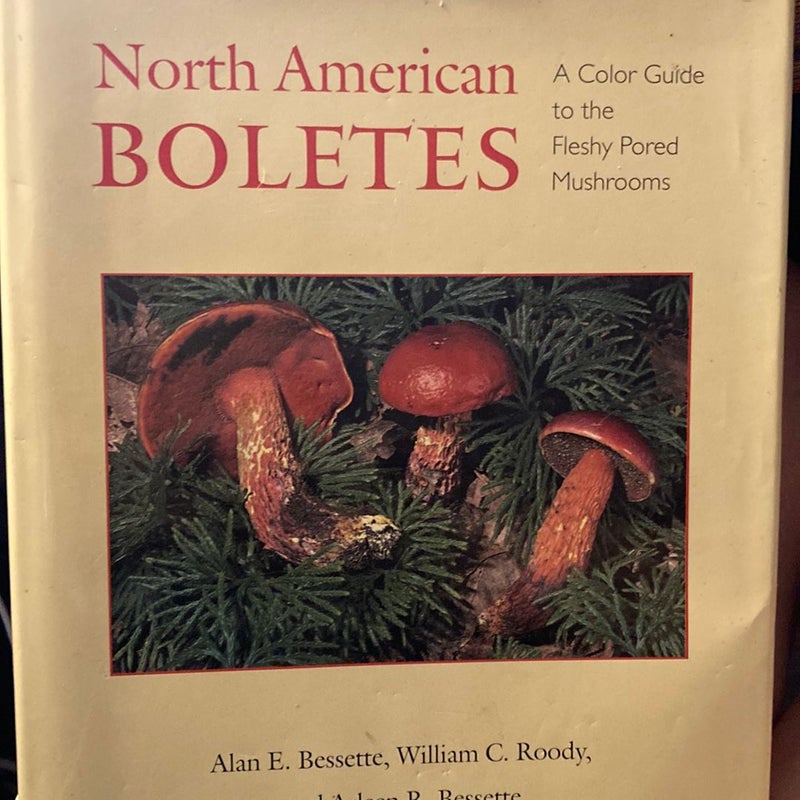 North American Boletes