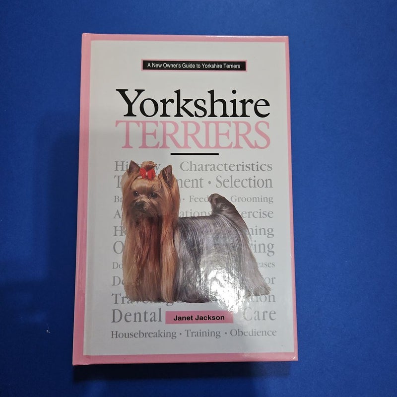 A New Owner's Guide to Yorkshire Terriers