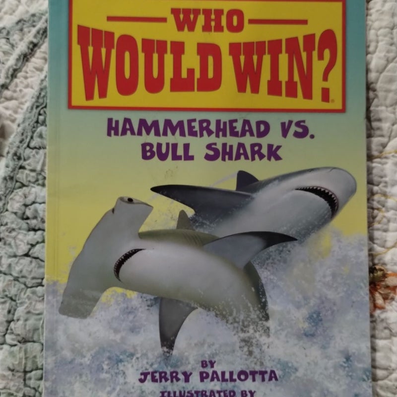 Hammerhead vs. Bull Shark