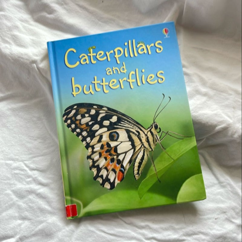 Caterpillars and Butterflies