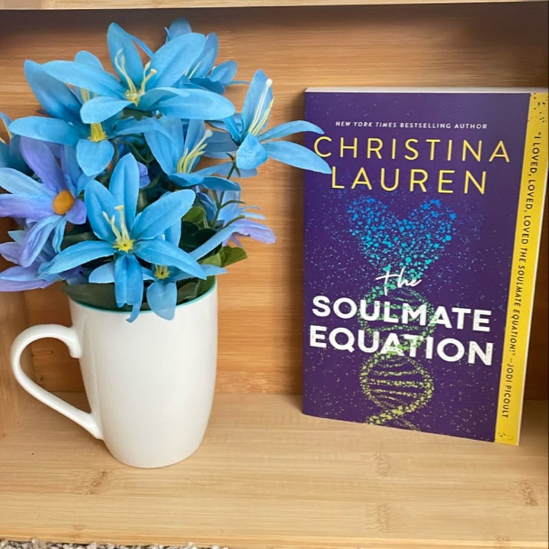 The Soulmate Equation