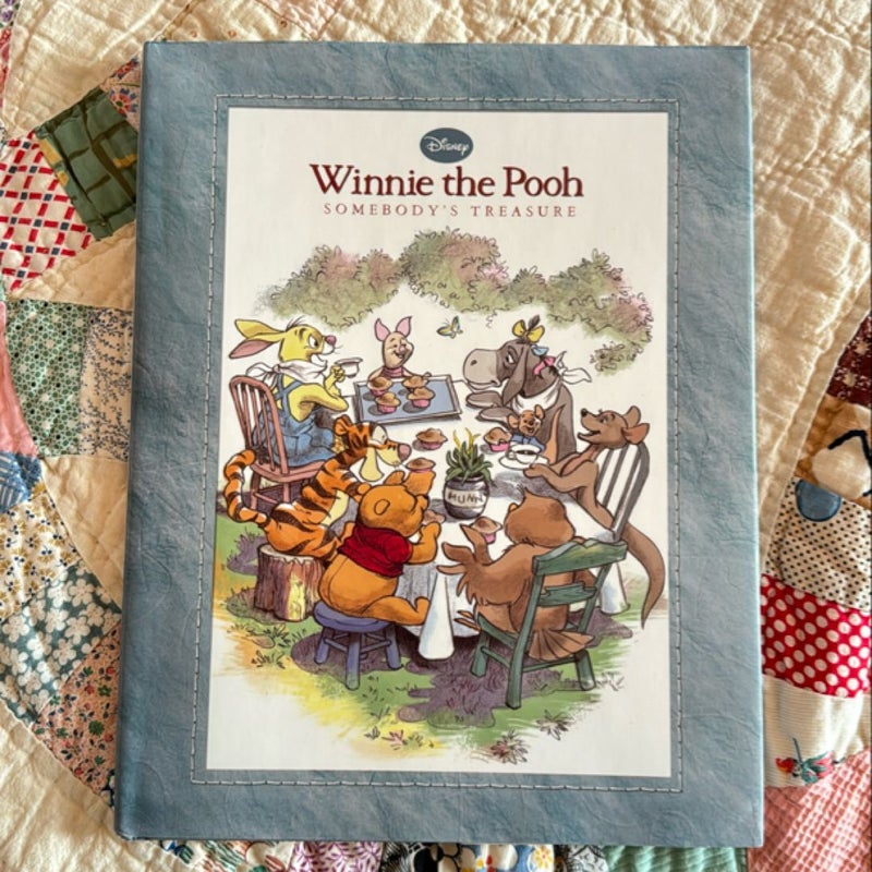 Winnie The Pooh Somebody’s Treasure 