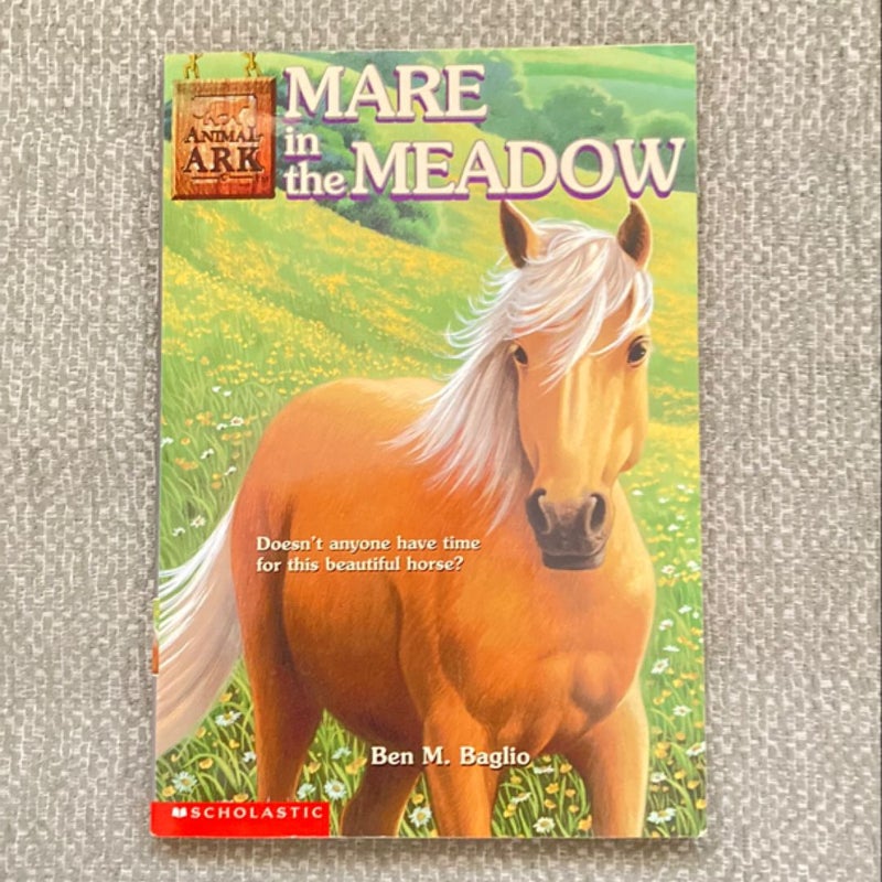 Mare in the Meadow