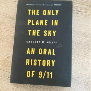 Only Plane in the Sky