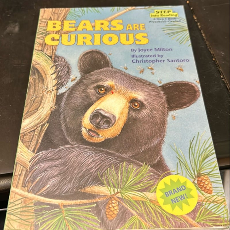 Bears Are Curious