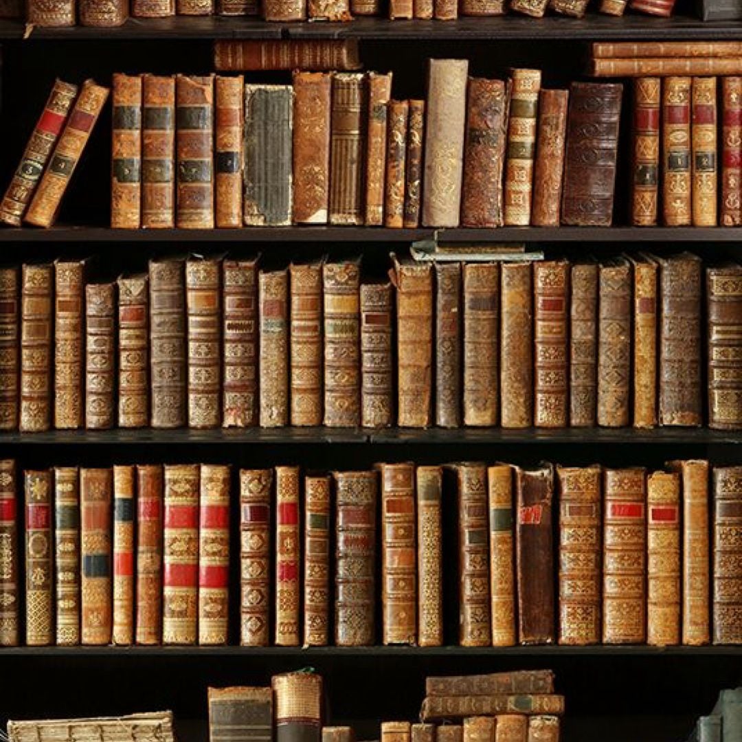 Allison’s Bookshelf
