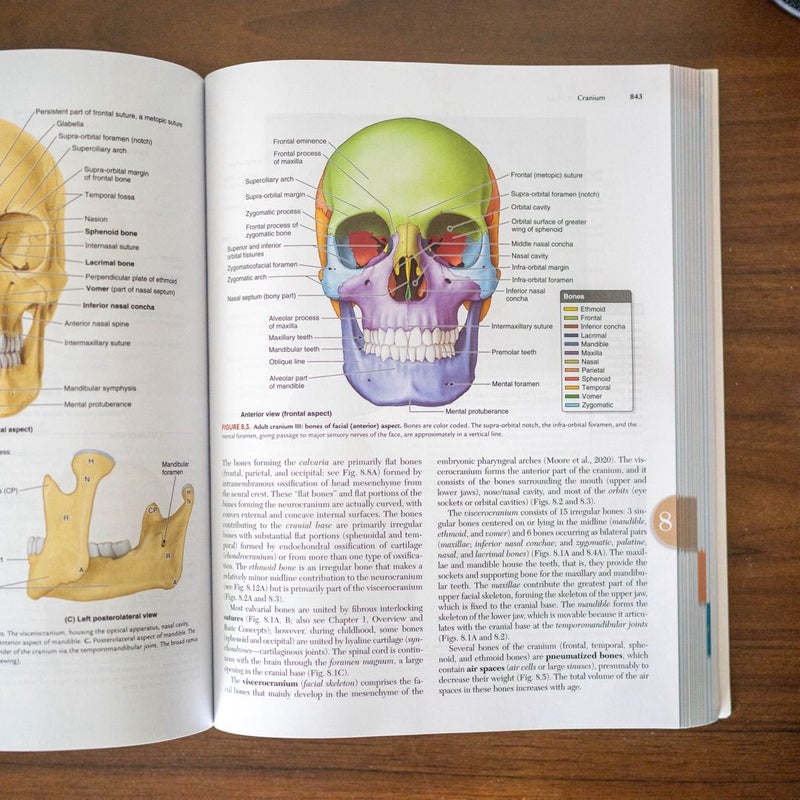 Moore's Clinically Oriented Anatomy
