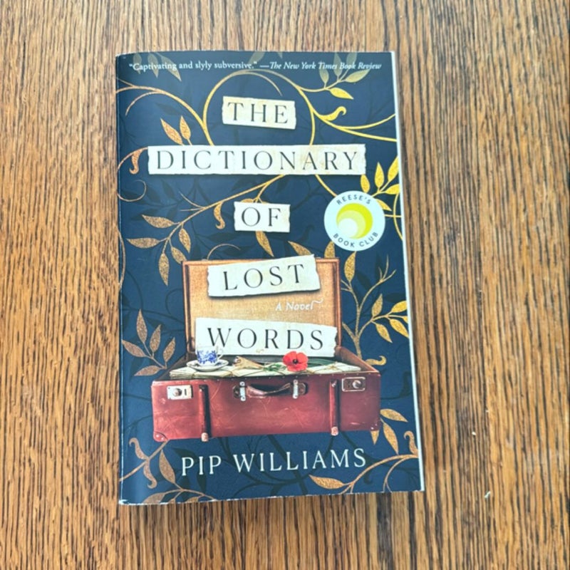 The Dictionary of Lost Words