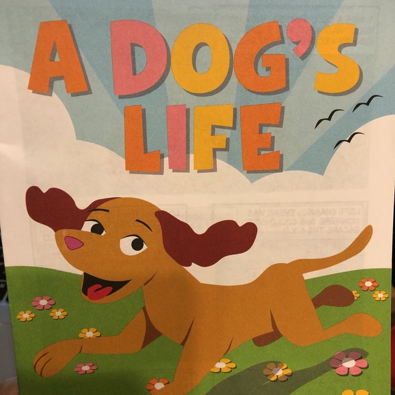 A Dog’s Life