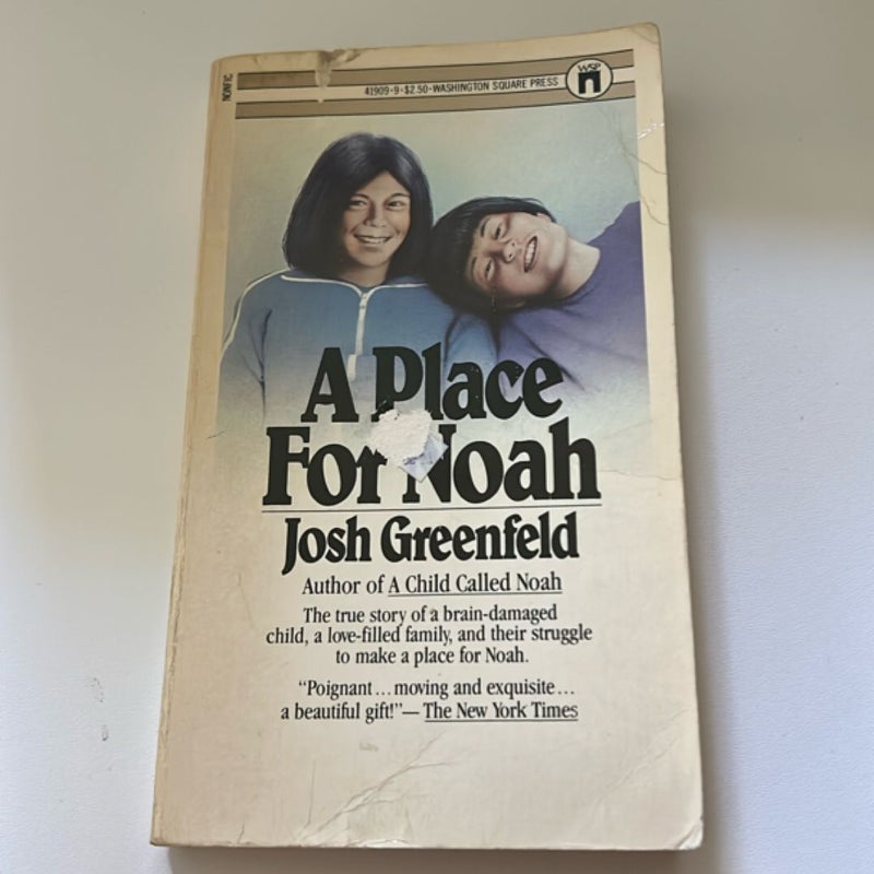 A place for Noah