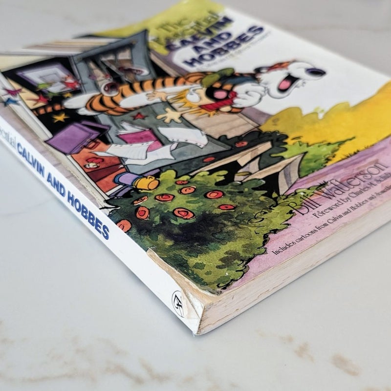 The Essential Calvin and Hobbes