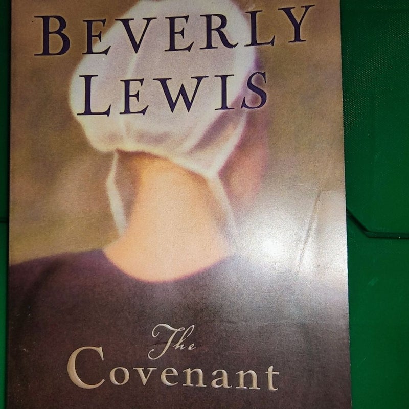 Bundle of 3 Beverly Lewis novels