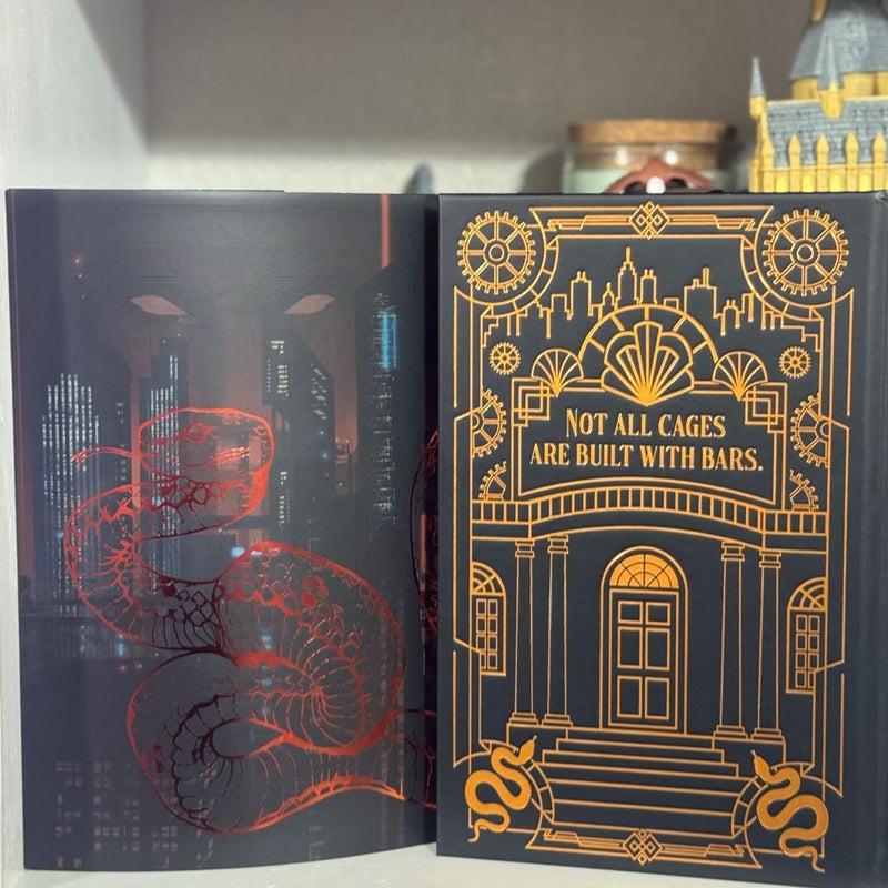 House of Bane and Blood (Bookish Box)