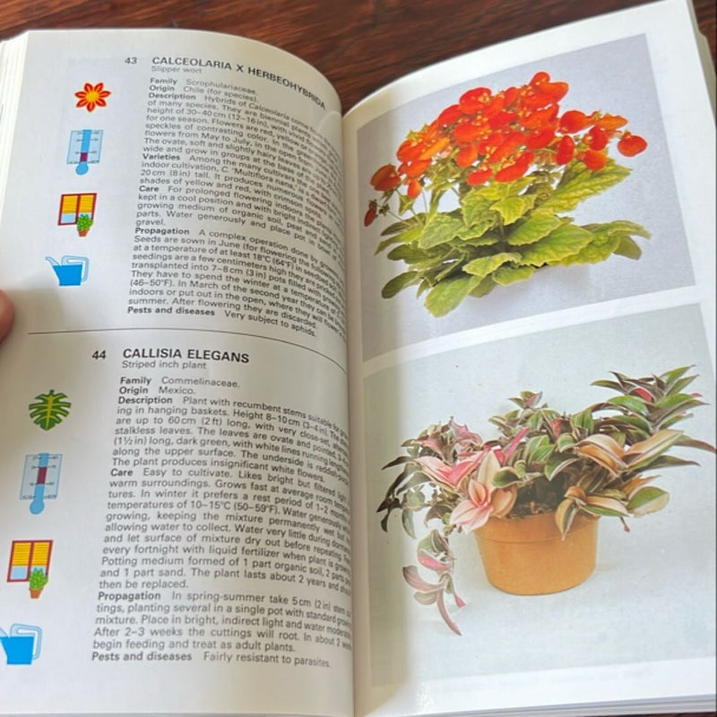 Simon and Schuster's Guide to House Plants