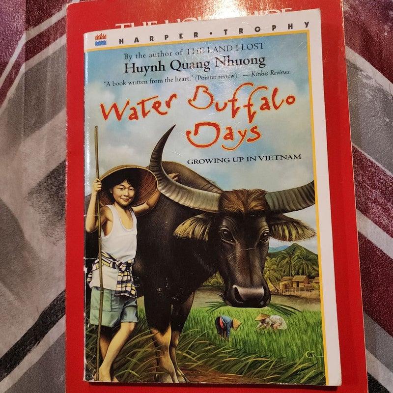 Water Buffalo Days