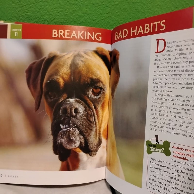Boxer + 2 DVDs