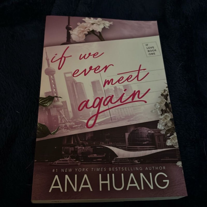 If We Ever Meet Again