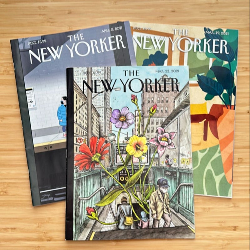 The New Yorker (bundle 5)