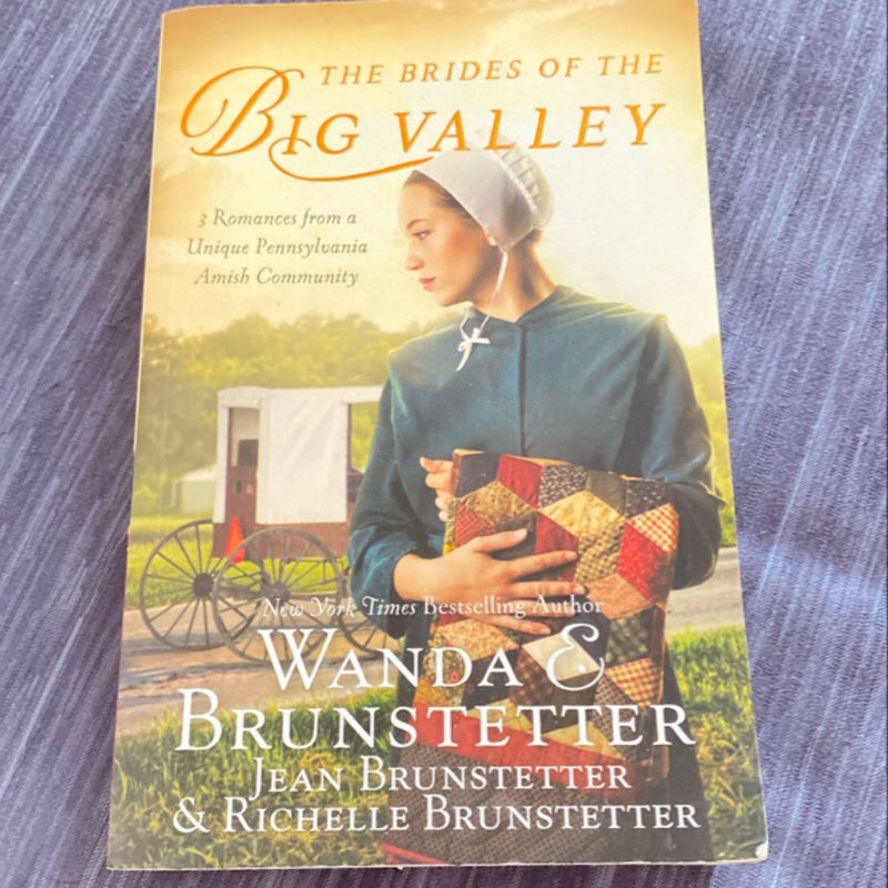 The Brides of the Big Valley