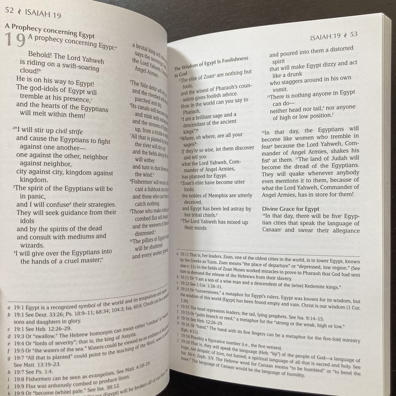 The Book of Isaiah by Brian Simmons, Paperback | Pangobooks