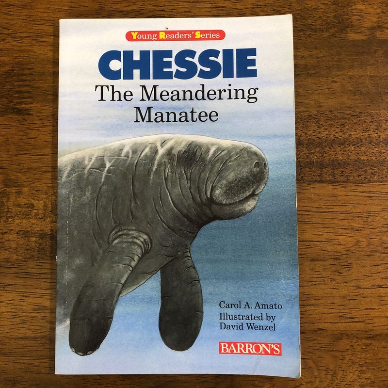 Chessie The Meandering Manatee