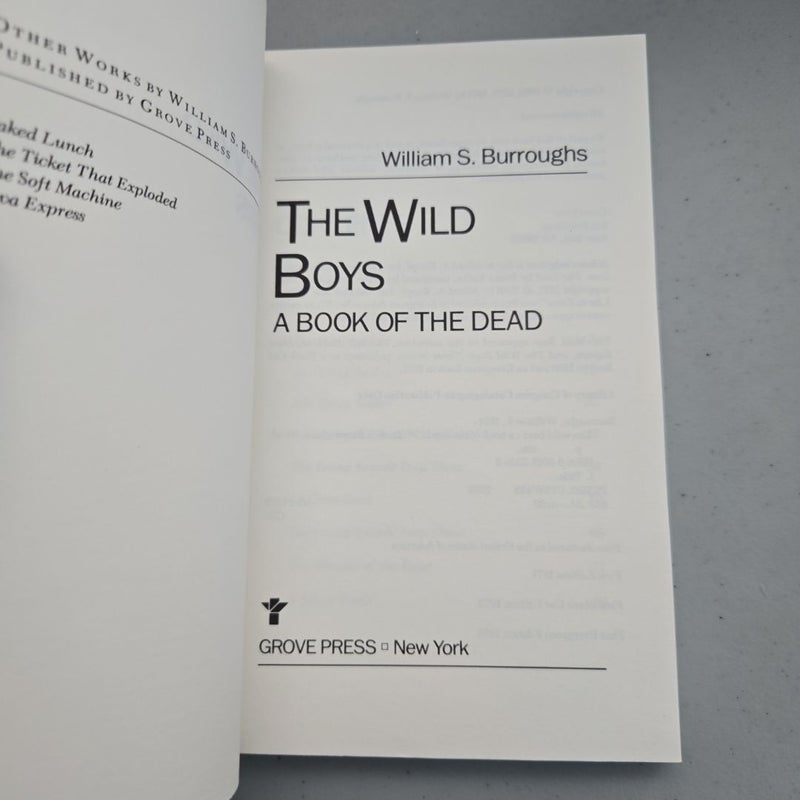 The Wild Boys