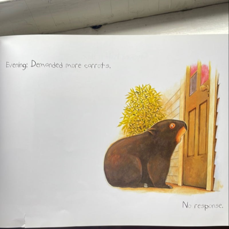 Diary of a Wombat