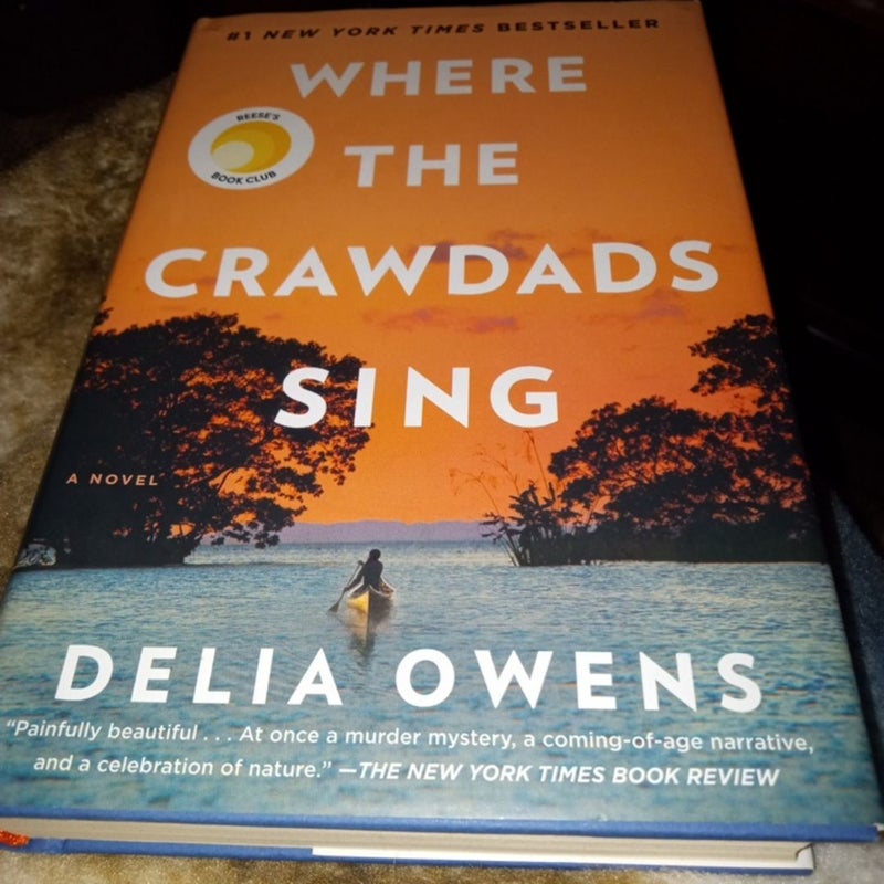 Where the Crawdads Sing